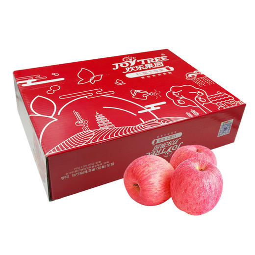【欢乐果园】山东富士黑标4.5斤大果礼盒装 商品图0