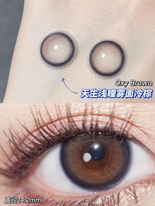 Kira Fairy半年抛 · 墨鱼丸子&雾面冰薄&雾面冷棕｜14.2mm白狮参考着色中等直径 韩产2片 商品图3