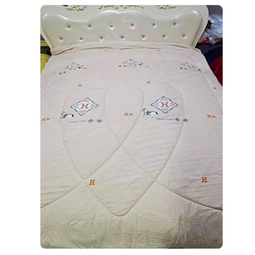 【49.9元/床】东阳单人春秋被160*210（颜色随机）（1223870） 商品图0
