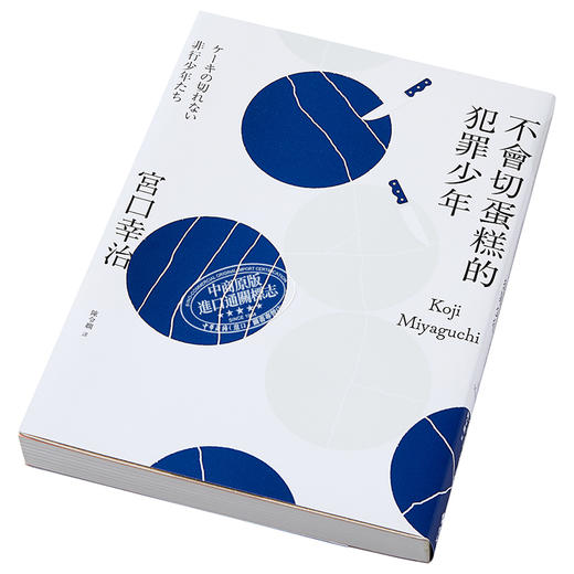 【中商原版】不会切蛋糕的犯罪少年 港台原版 宫口幸治 远流 社会议题 日本热销破50万本 商品图2
