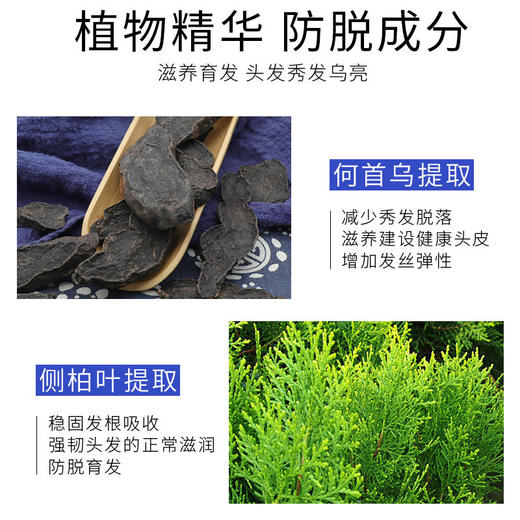 【拯救秃头一族】持证防脱强根健发清爽不油腻华南理工大学防脱育发营养液 商品图5