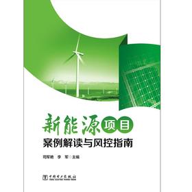 新能源项目案例解读与风控指南
