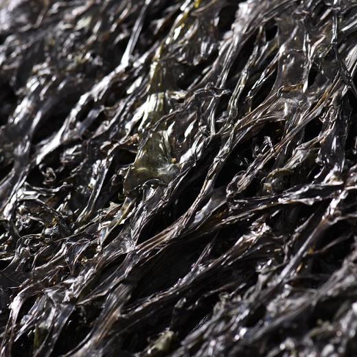 海山来头水紫菜 约50g/袋（海产） 商品图4