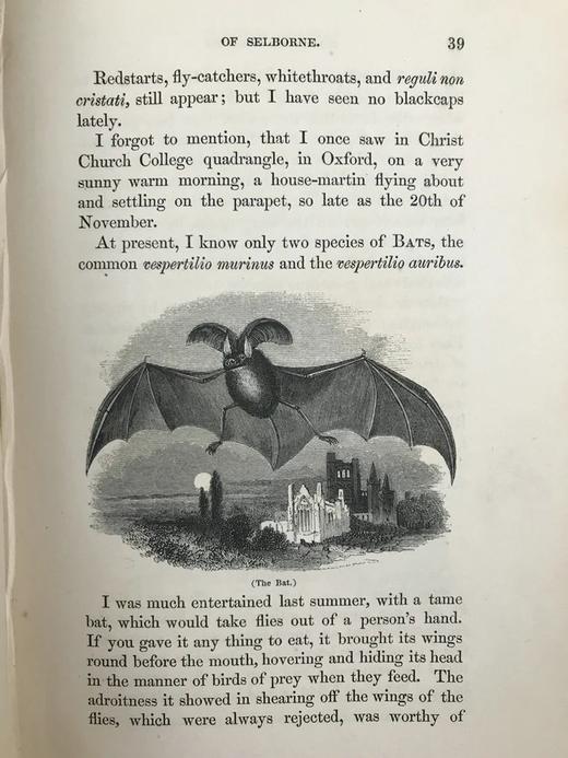1842年 怀特《塞耳彭自然史》 约50幅木版画插图 漆布精装大32开 商品图11