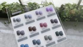 涩味冷灰12色套装