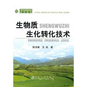 生物质生化转化技术__现代生物质能源技术丛书/陈洪章 王岚