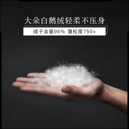 【双十二特惠】|Downland Clima微控温平衡鹅绒被 春秋四季被150*210cm[福利品 商品图4