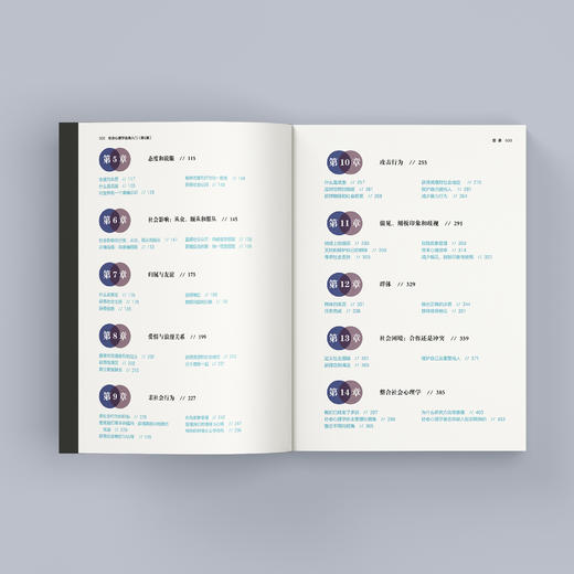 《社会心理学经典入门》（第6版） 商品图2