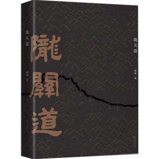 陇关道 胡成 著 两千年陇关道，十余载经行路 地域文化人文社科书籍 2021第十六届文津图书奖推荐图书 商品图1