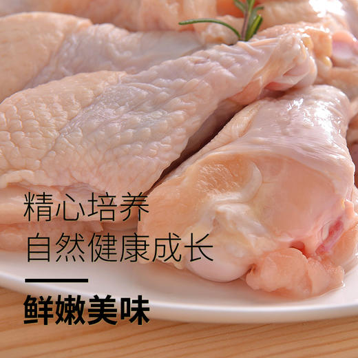 【肉】冷冻鸡翅根 约270g 商品图2
