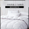 【双十二特惠】|Downland Clima微控温平衡鹅绒被 春秋四季被150*210cm[福利品 商品缩略图1