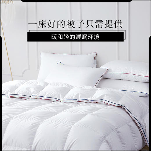 【双十二特惠】|Downland Clima微控温平衡鹅绒被 春秋四季被150*210cm[福利品 商品图1