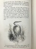 1842年 怀特《塞耳彭自然史》 约50幅木版画插图 漆布精装大32开 商品缩略图5