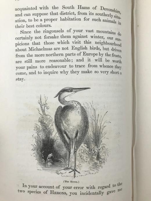 1842年 怀特《塞耳彭自然史》 约50幅木版画插图 漆布精装大32开 商品图5