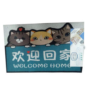 【19.9元/个】三国鑫隆浴室防滑垫S-50*80cm丝圈（1115969）