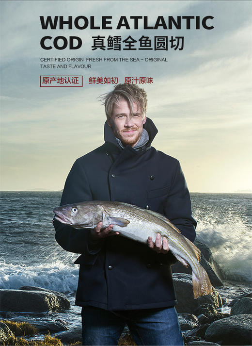 挪威真鳕鱼礼盒 整条轮切 有头有尾 十全十美 高蛋白低脂肪 超大礼盒 送礼自用首选 顺丰包邮 |百里食 0114 商品图1