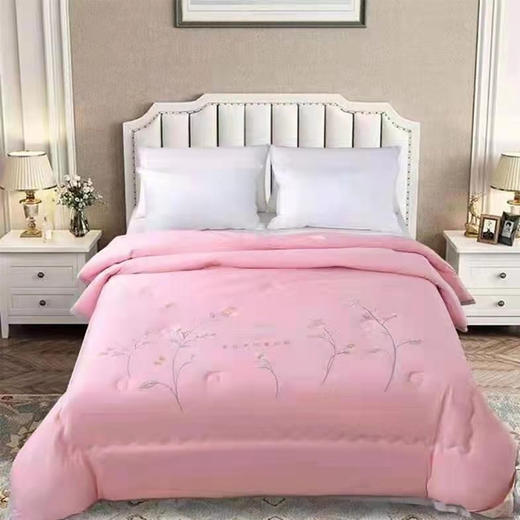 【139元/床】东阳莫代尔双人春秋被200*230（1223871）颜色随机 商品图1