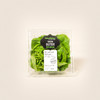 雅翠堡绿牛油生菜Green Butter 120g 商品缩略图0
