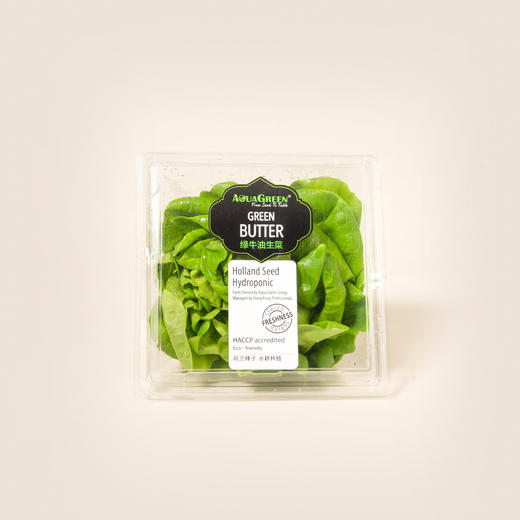 雅翠堡绿牛油生菜Green Butter 120g 商品图0