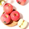 【欢乐果园】山东富士黑标4.5斤大果礼盒装 商品缩略图1