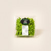 雅翠堡绿珊瑚生菜Green Cora 120g 商品缩略图0