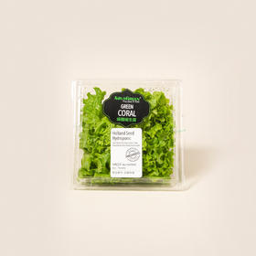 雅翠堡绿珊瑚生菜Green Cora 120g