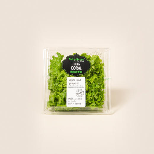 雅翠堡绿珊瑚生菜Green Cora 120g 商品图0