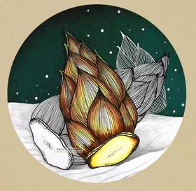 8-9综合创意画《鲜笋》【自动发货：下单后，点击手机短信中收到的链接，即可获取文件下载的链接；如有任何问题，可添加客服微信hm33268获得帮助】
