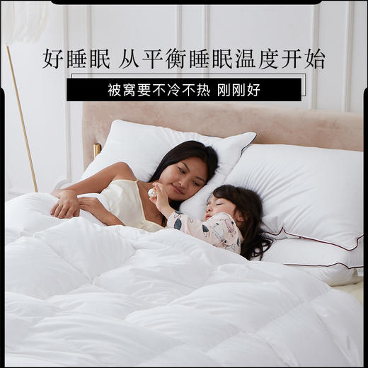 【双十二特惠】|Downland Clima微控温平衡鹅绒被 春秋四季被150*210cm[福利品 商品图2