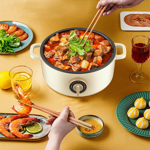 春花 电煮锅 CZZ-10W 商品图5