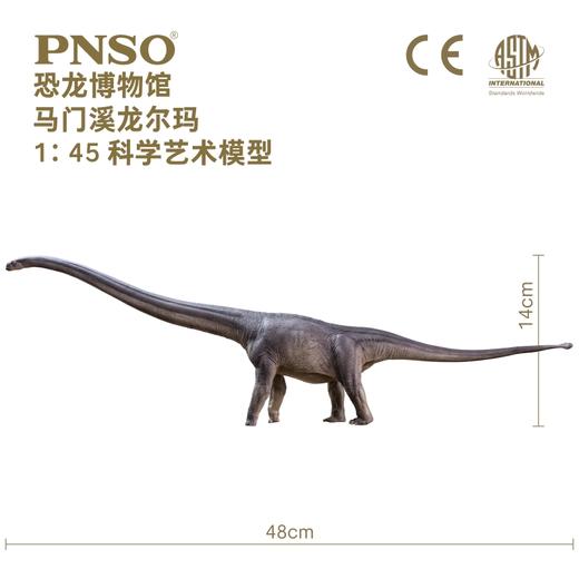 PNSO马门溪龙尔玛恐龙博物馆1比45科学艺术模型 商品图1