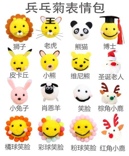 【表情包2】乒乓菊卡通创意花束套装（5套/包） 鲜花胶 商品图1