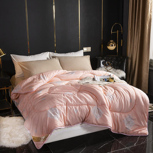 【现货速发】时尚风秋冬款榨蚕丝被 商品图3