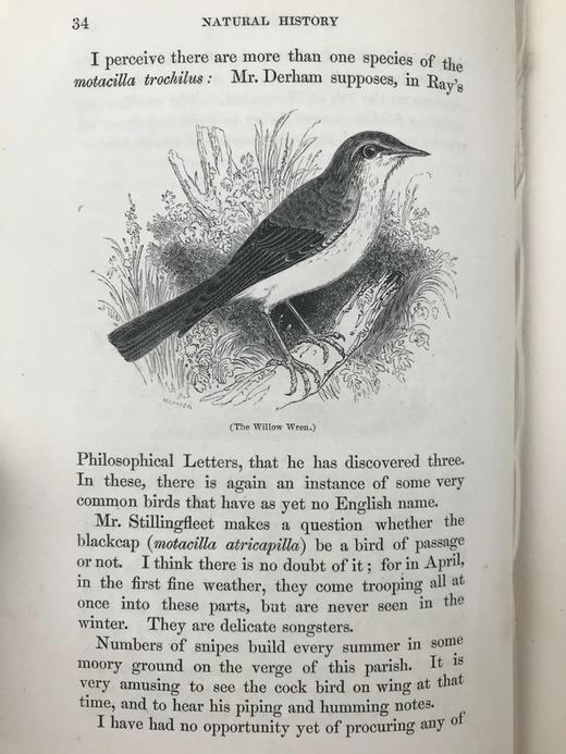 1842年 怀特《塞耳彭自然史》 约50幅木版画插图 漆布精装大32开 商品图14
