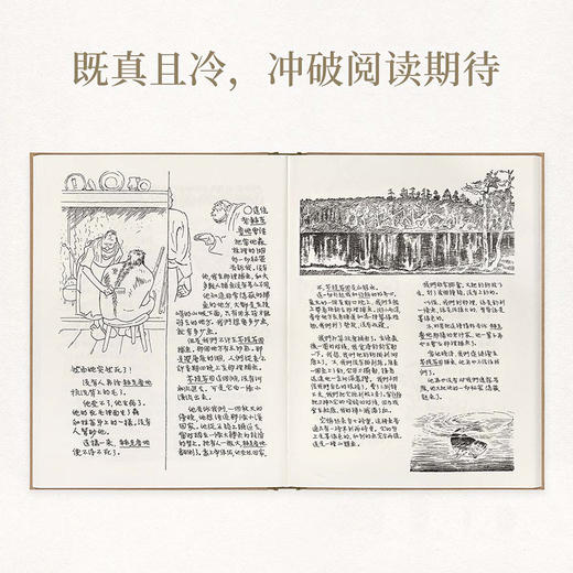《童年与故乡》 凛冽北风吹过挪威山林 丰子恺 文学 绘画 读库 故乡四部曲 商品图3