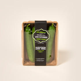 雅翠堡迷你水果青瓜Mini Cucumber 300g