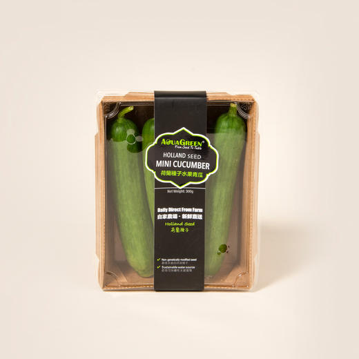 雅翠堡迷你水果青瓜Mini Cucumber 300g 商品图0