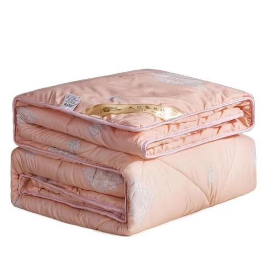 【现货速发】时尚风秋冬款榨蚕丝被 商品图4