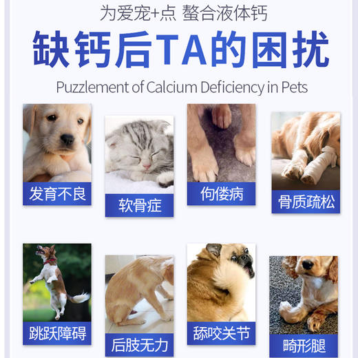 MAG液体钙 猫狗通用 220ML 快速补钙易吸收 商品图2