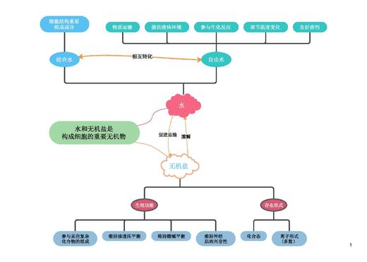 图图释道——高中生物思维导图（必修模块） 商品图4