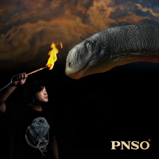 PNSO马门溪龙尔玛恐龙博物馆1比45科学艺术模型 商品图3