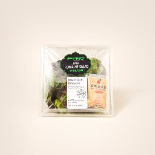 雅翠堡罗马生菜沙律Baby Romaine Salad 120g 商品图0