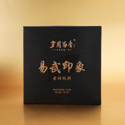 岁月留香·易武印象 单饼 商品图0