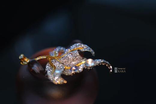 皓月金枝 | 胸针挂坠两用款 商品图5