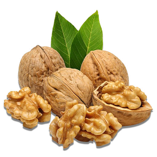 秭归县屈乡精品纸皮核桃4斤装2000g/箱新鲜薄皮核桃 商品图4