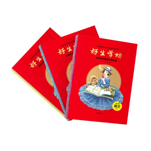 【好生学坊套装】全知识点普查彩图试卷 商品图1