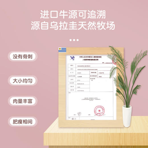 鹿优鲜乌拉圭原切牛尾骨 商品图2