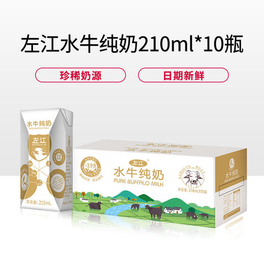 牛奶界的贵族牛奶 广西水牛奶 产量低营养丰富口感好 用它做甜品更香醇 商品图2