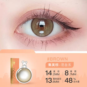 HolyNara 集美棕日抛(10片装/盒)