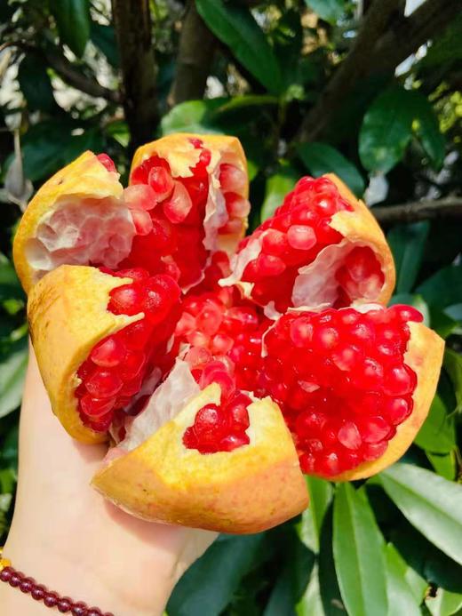 【突尼斯软籽石榴】9颗礼盒装 单果约400-500g颗 每一粒石榴都非常饱满，色泽均衡，粉嫩透亮的石榴粒像一颗颗红宝石 商品图3